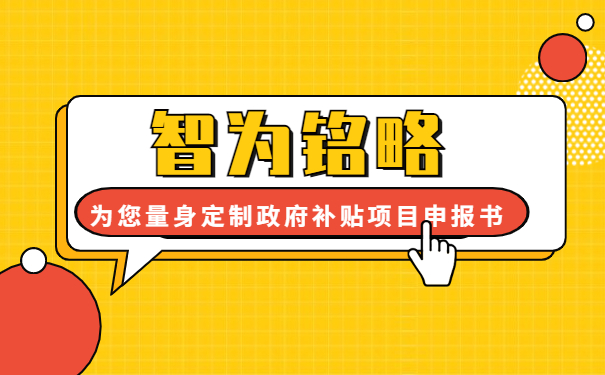 智為銘略為您量身定制2年的政府補貼項目咨詢方案書