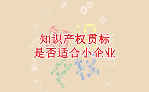蘇州知識(shí)產(chǎn)權(quán)貫標(biāo)，蘇州科技項(xiàng)目咨詢公司知識(shí)產(chǎn)權(quán)貫標(biāo)是否適合小企業(yè)