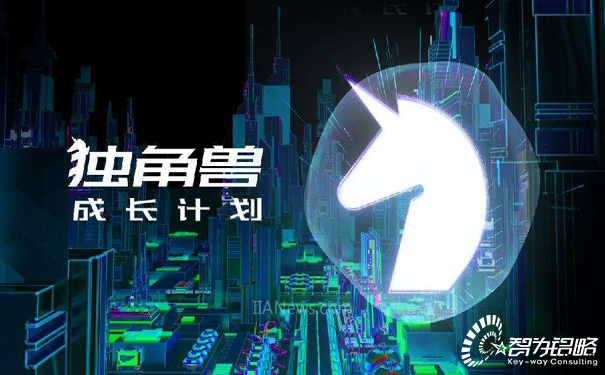 蘇州市獨(dú)角獸企業(yè)培育計(jì)劃(2018~2022年)