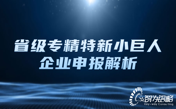 1652424067282232.jpg 省級專精特新小巨人企業(yè)申報解析.jpg