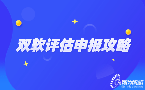 雙軟評估申報(bào)攻略