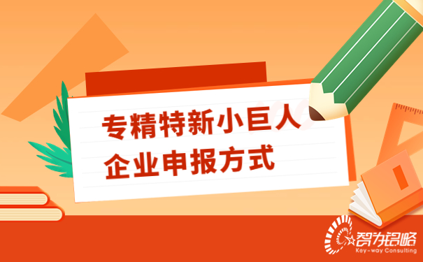 專(zhuān)精特新小巨人企業(yè)申報(bào)方式