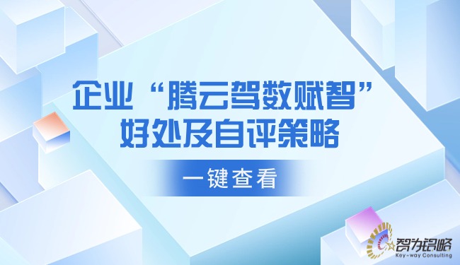 1713144931292720.jpg 企業(yè)“騰云駕數(shù)賦智”的好處及自評策略.jpg