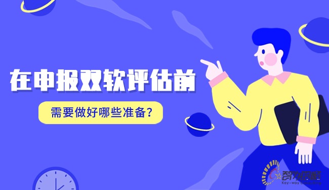 在申報雙軟評估前需要做好哪些準備？