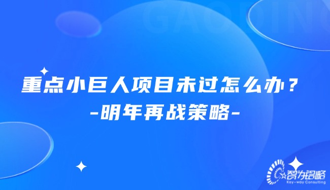 重點小巨人項目未過怎么辦？明年再戰(zhàn)策略.jpg