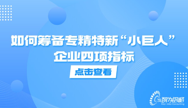 1730855100391368.jpg 如何籌備專精特新“小巨人”企業(yè)四項(xiàng)指標(biāo).jpg
