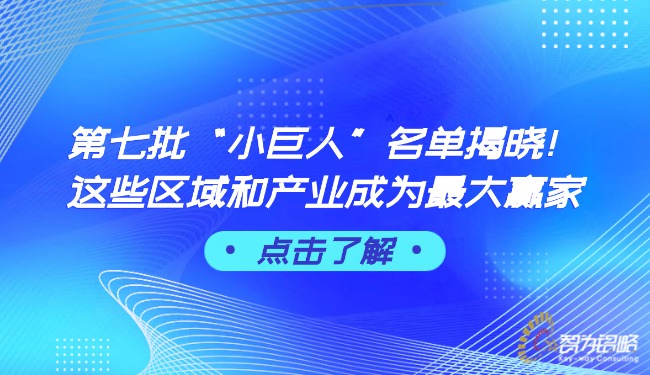 *七批“小巨人”名單揭曉！這些區(qū)域和產(chǎn)業(yè)成為*大贏家.jpg