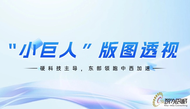 “小巨人”版圖透視：硬科技主導(dǎo)，東部領(lǐng)跑中西加速.jpg