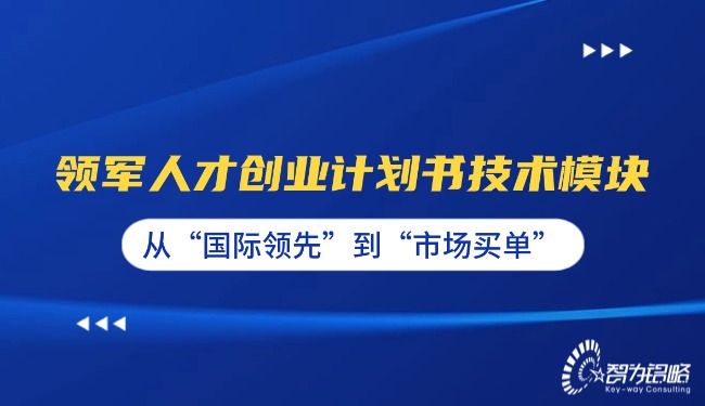 1765157033183542.jpg 領(lǐng)軍人才創(chuàng)業(yè)計劃書技術(shù)模塊—從“國際**”到“市場買單”.jpg
